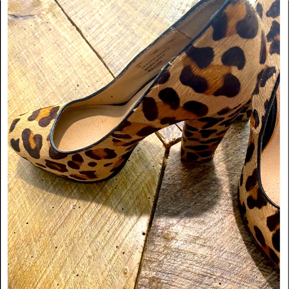 Womens Steven Madden platforms